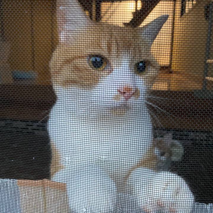 Dbd0ca84 8af3 4110 a261 3cc66b1c5729 1656112808055