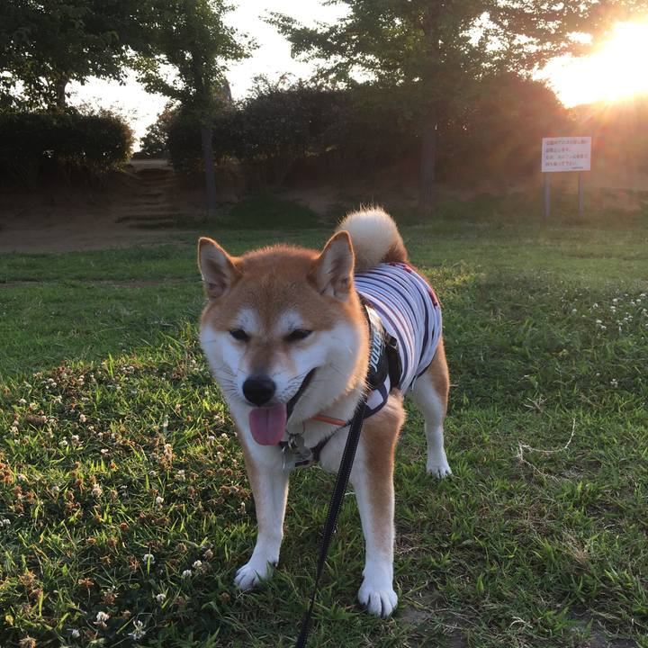 Dbd0fa3a 4e5b 474a 8f58 21c960f7eeb0 1532119242939