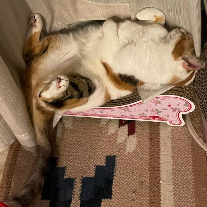 Dbd11cf7 2d6c 4ffe 8a08 8889df80ccfb 1659874336686