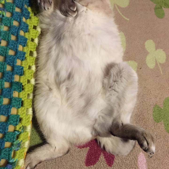 Dbd125b5 8091 40eb 8bbb 7ccf8405a86c 1553770531273