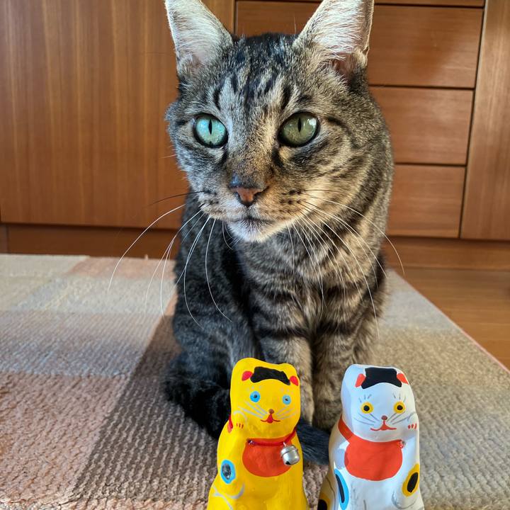 Dbd12fae 1869 4a7e a602 5d8a3f5803d9 1767227627222