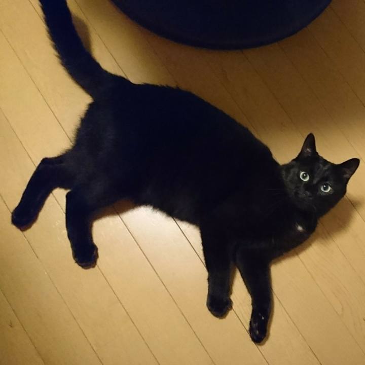 Dbd15394 9f5b 4eae bab1 f93d044c03f4 1534328687750