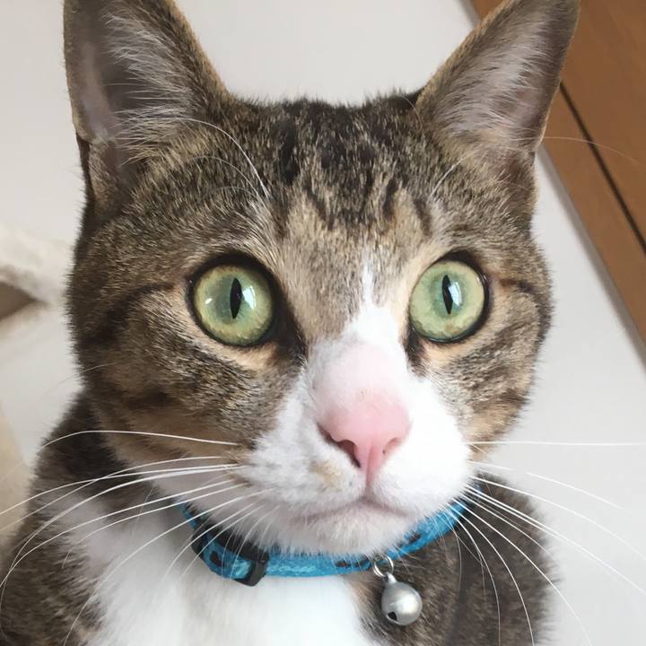 Dbd169dc c5c2 4252 963b 99e7001f1727 1678499647063