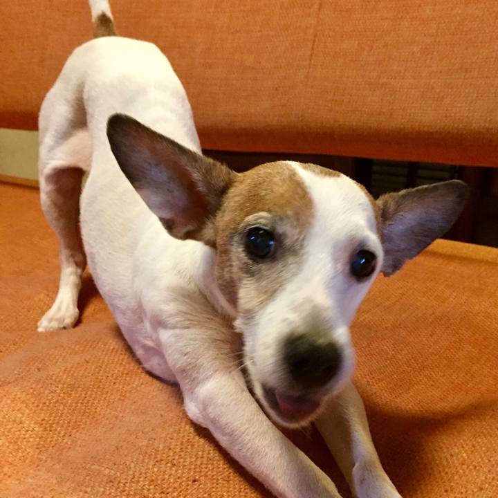 Dbd1c635 44c0 4270 99f8 6d53f744c82e 1597744651097