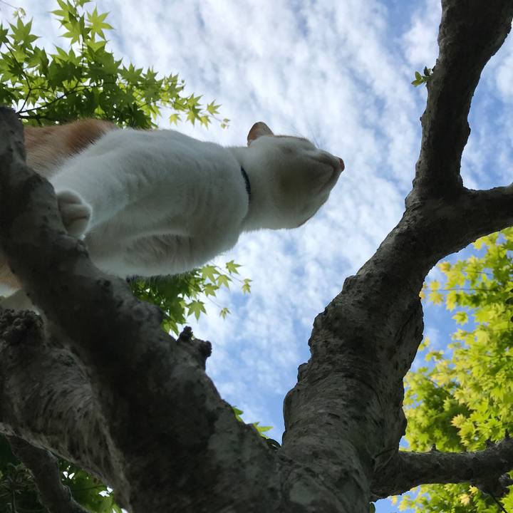 Dbd1cbe6 7b7f 42ea 9ffb 65a9231aca1a 1525992070097