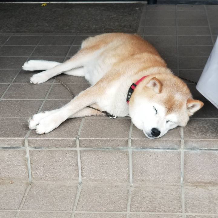 Dbd1da5c 56c1 4723 a627 61cbe51f6bf4 1720687558467