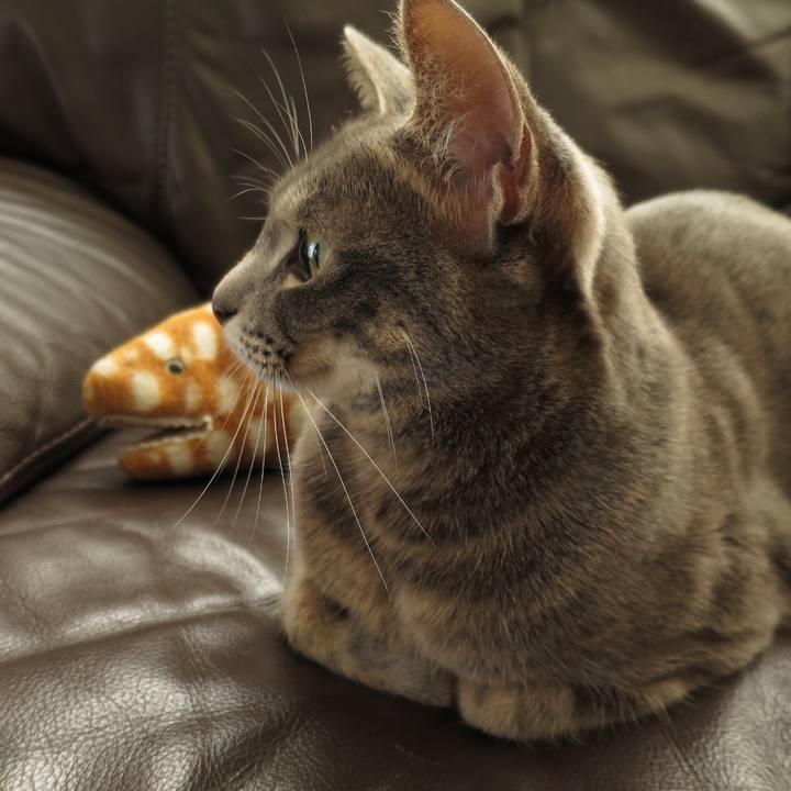 Dbd20cd0 d343 4142 aeae 2c38396da14c 1507902660669