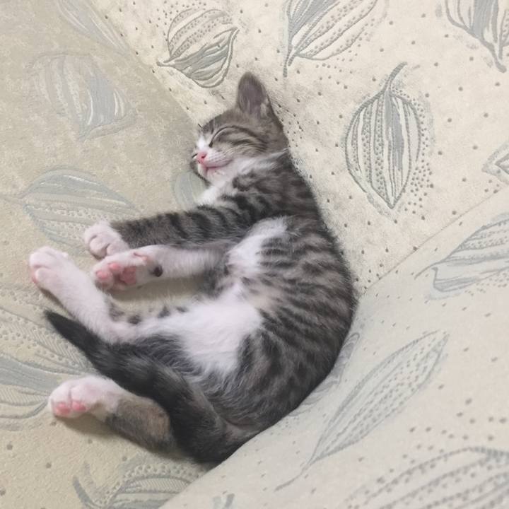 Dbd219a3 aade 4d46 b873 70fc35727482 1655820629712