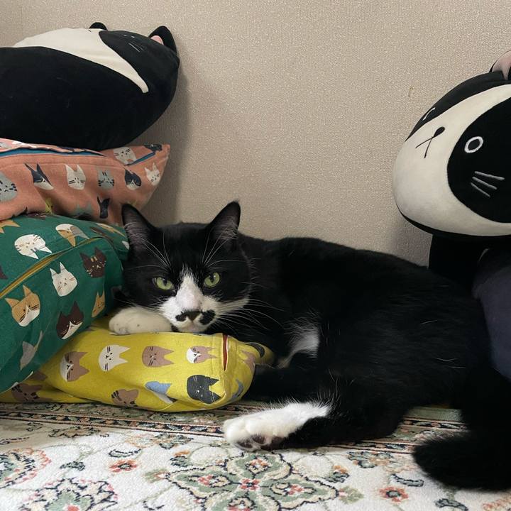 Dbd2218e 9317 4bac bef2 6bb354f51784 1752622379341