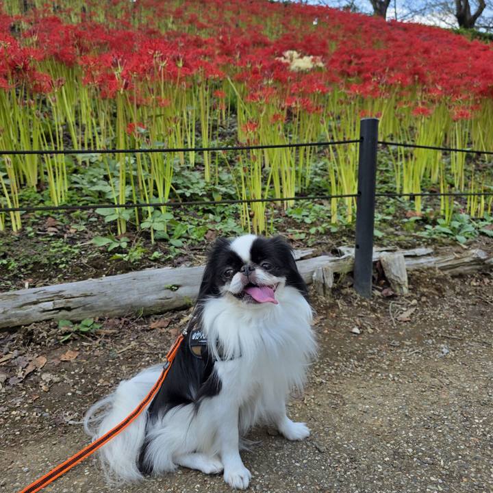 Dbd264a5 b0d5 4271 aa9d c7bd48c36577 1758688211314