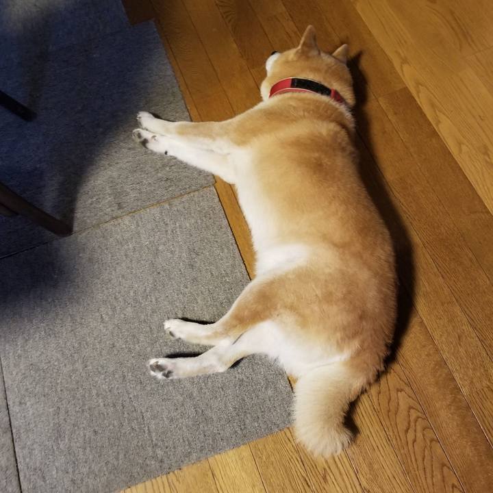 Dbd277b7 c219 4195 8727 b855ea203d1c 1734418956868