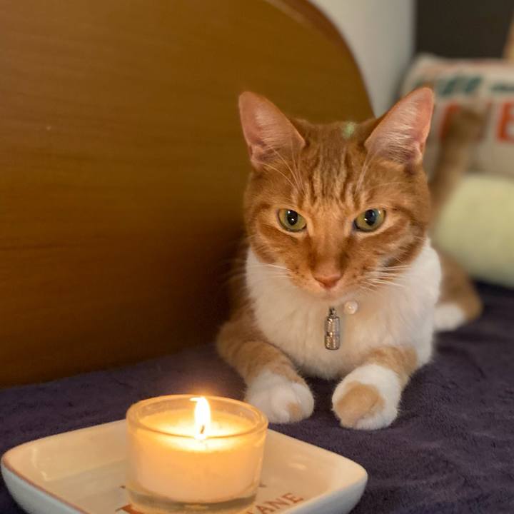 Dbd27adb 7abf 4c4b 8685 ea5d492ad10b 1632388574706