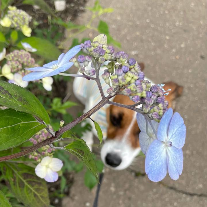 Dbd2a1ed 98c1 42a0 8122 2b03a9b5c17c 1624942645624