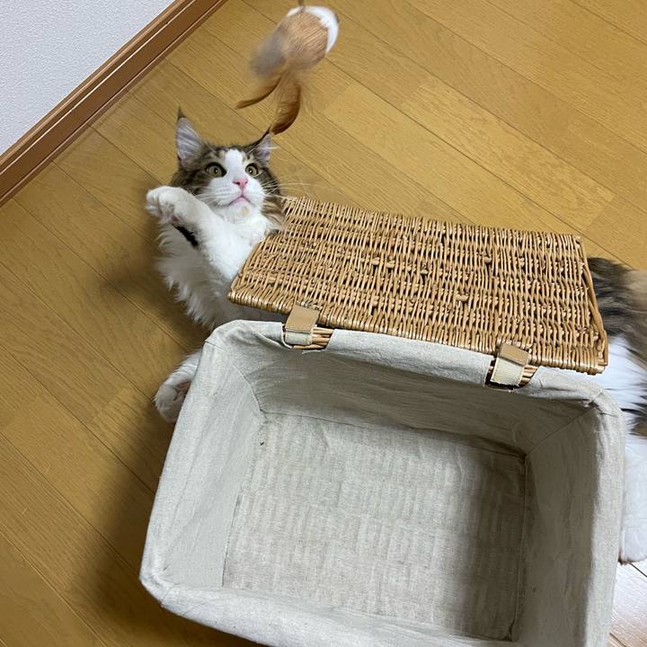 Dbd2b3c6 989c 4b3a ae37 6660731976e5 1644325297115