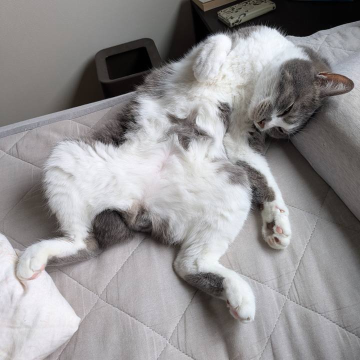 Dbd2e539 5f9f 4cdd a994 f9022d1e3f76 1747551709628