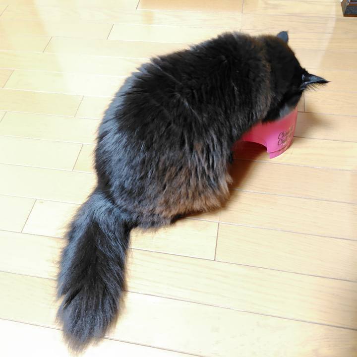 Dbd34257 85c8 4175 9bcf f51ee34d442d 1715601690362