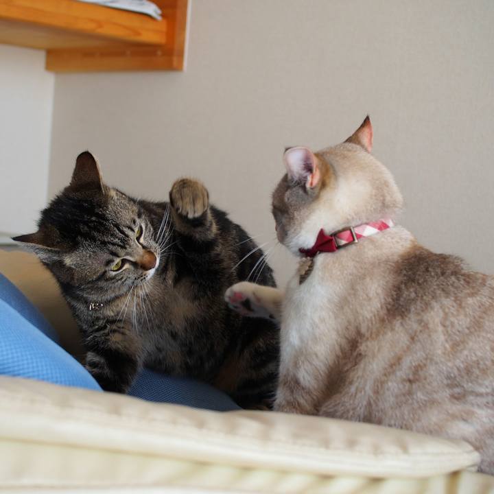 Dbd350b4 2fbd 4298 b69e f7bca154f4ca 1522547914711