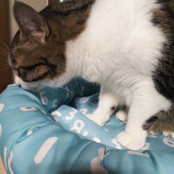 Dbd377ca 946d 420d aa66 a9dc8dcc8e77 1665018103369