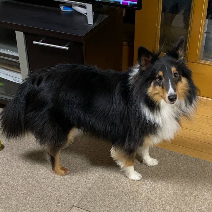 Dbd38aa5 b54b 4f3f abf6 c8803e2f6620 1581024271541