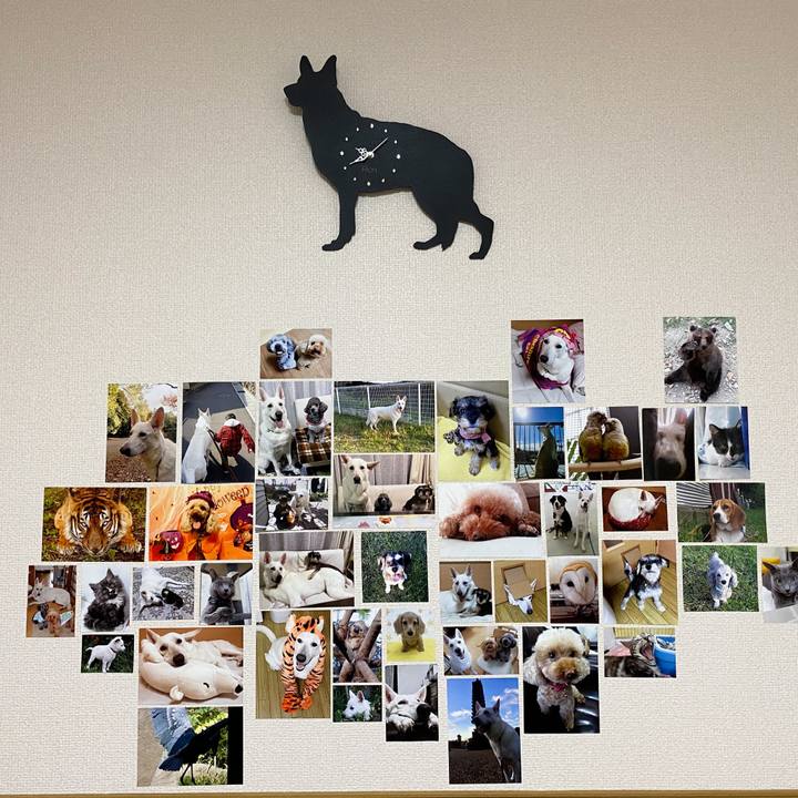 Dbd3b12c c88d 4d92 8666 e36b1c2cb786 1611716573814