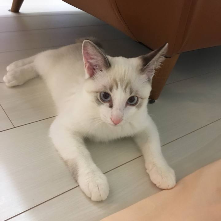 Dbd3c6cd fad7 4d74 a736 3c7761d62c1d 1509888139089