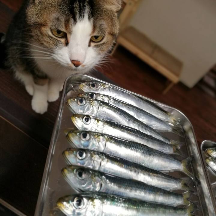 Dbd3cdca 03b3 4827 a3ac 96005da5922a 1551158591454