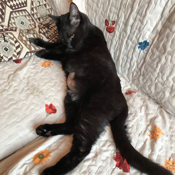 Dbd3d27a 5268 48e4 8db5 bb06f7b87a3e 1578611732078