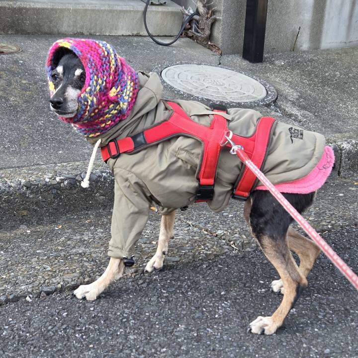 Dbd3ffa6 a90e 4ca3 b125 755b917cfc34 1766103919642