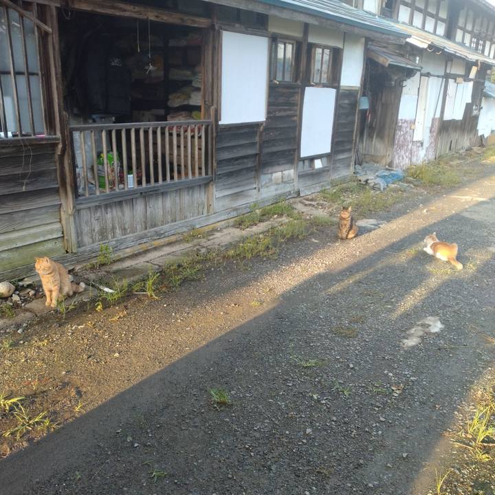 Dbd406d3 f25a 470c bb8b b97f6f0712d5 1758098546807