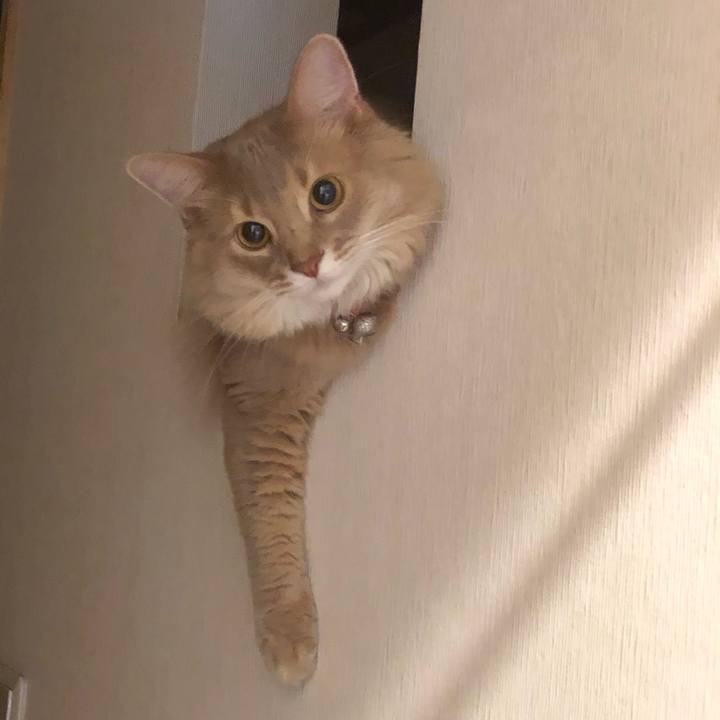 Dbd41601 7965 4d8d 8459 740aacf05b14 1599548891921