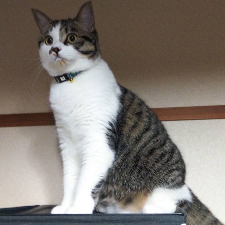 Dbd41a32 9965 455e a629 2c24429f617e 1624622798612