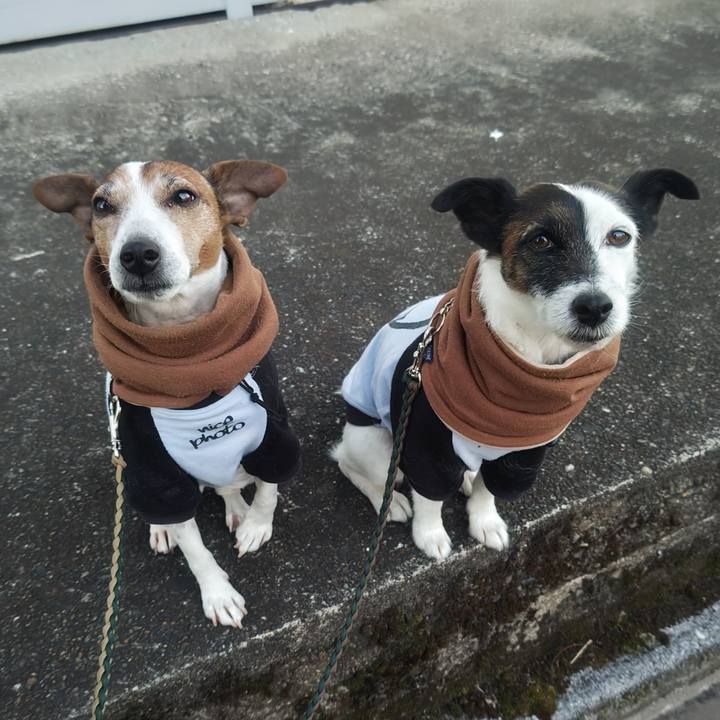 Dbd42239 9e84 4775 ab48 025b8083053d 1767652473316