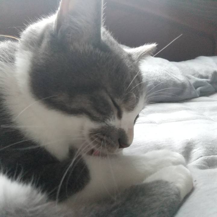 Dbd42854 1c3c 4650 ac3f a6c91c76ded9 1625379206232