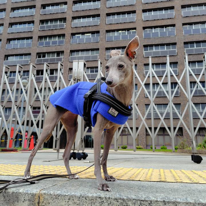 Dbd46223 876d 473a b0ef a07ecd5f97d8 1762254602498