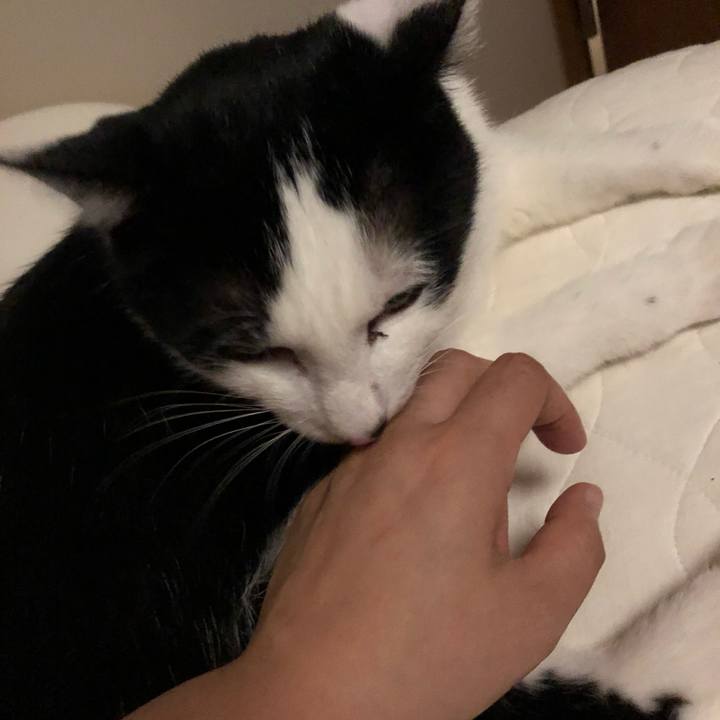 Dbd463f3 aeb3 49c0 aad2 25b153cd86df 1561310094663