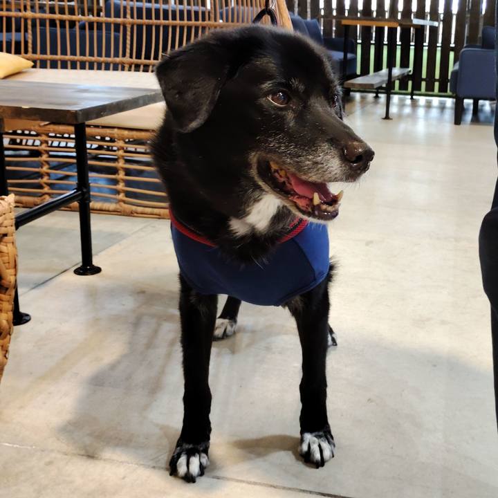 Dbd475d9 b8d5 423a a236 d11c6ccd55e6 1760193563182