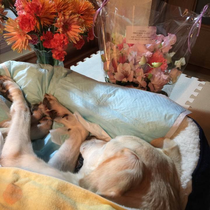 Dbd48198 fa83 400a 91b8 f692df5039ff 1545909815787