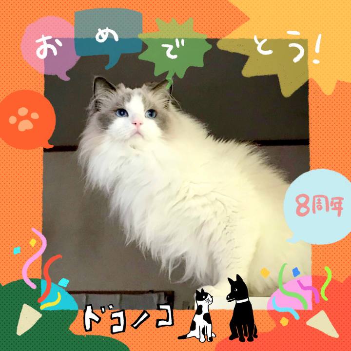 Dbd4bd07 60d0 44be b535 a0d79fa3fe5e 1717837586112