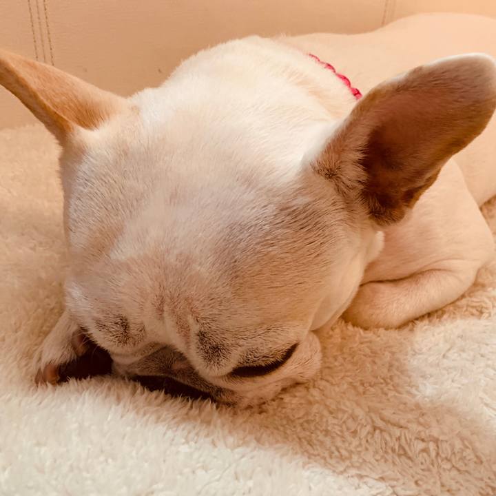 Dbd4be8c c07c 4668 8a25 503e89db64d6 1550653361792