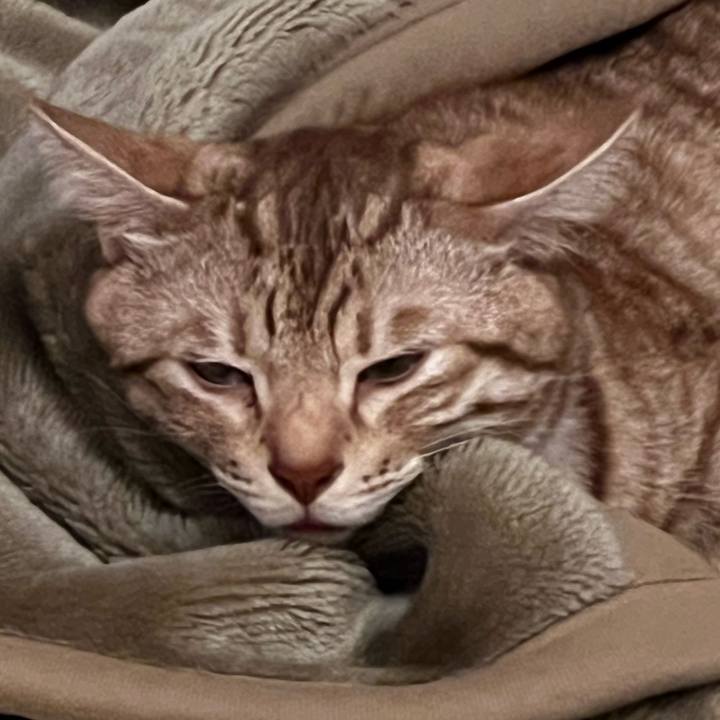 Dbd4c188 b637 4976 be18 5e510dc33a59 1699622615507