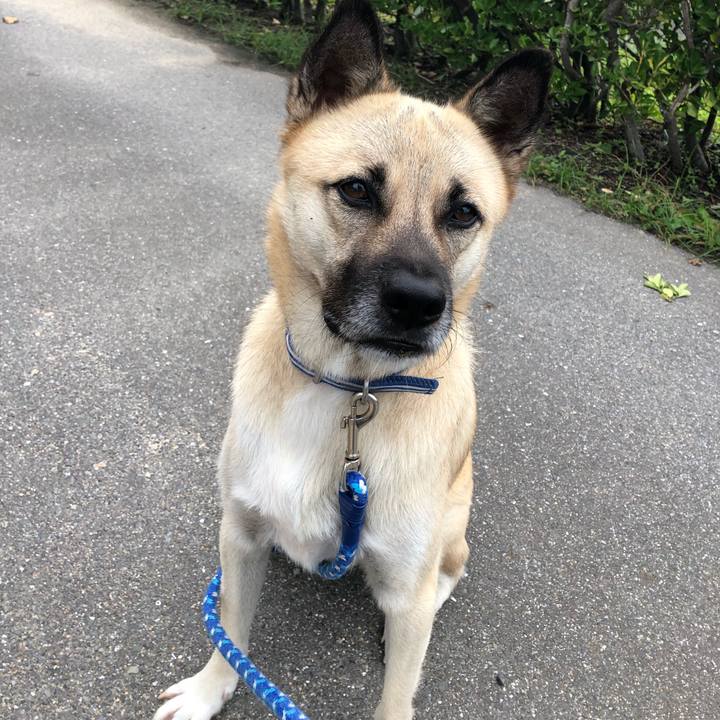 Dbd4c3ee 5bff 46e5 a0e9 203f9233c0b7 1538654828915