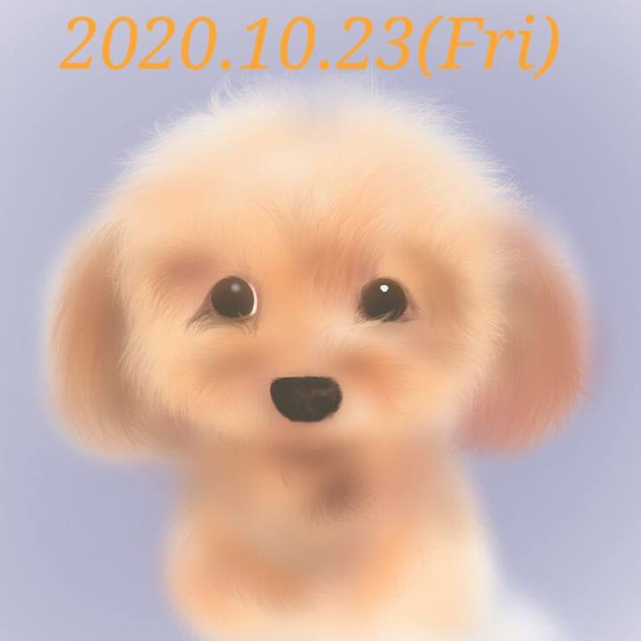 Dbd4c697 ecfb 4af4 8278 546ca16d230a 1603446868245