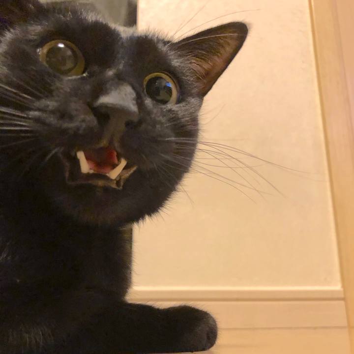 Dbd4f571 0aa7 4b84 a8b0 e7677d2e3c6f 1514203414808