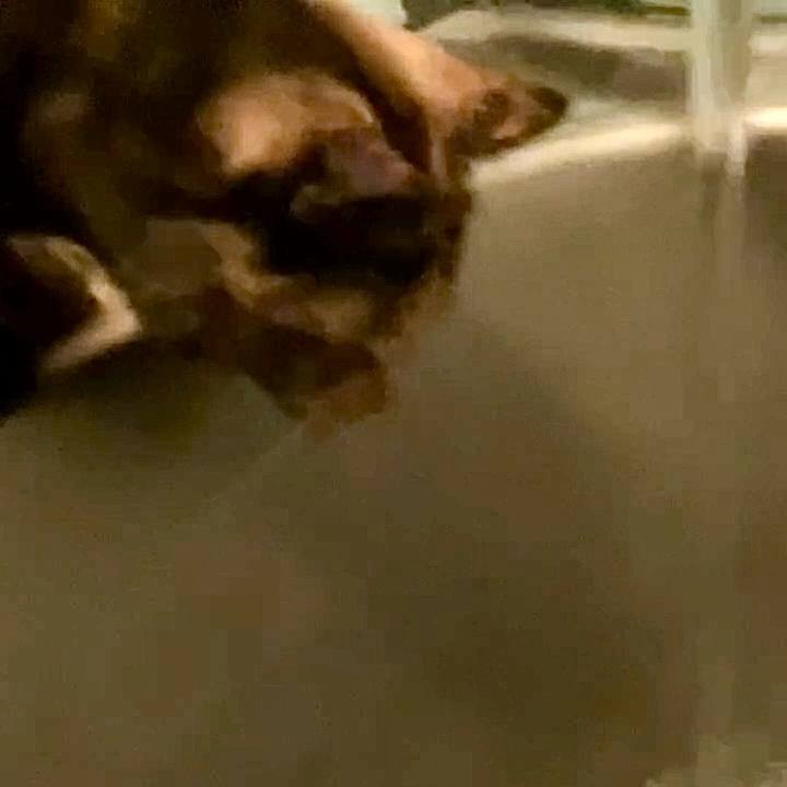 Dbd509b8 dc43 44b7 a4c1 97a7b367f6bf 1734552616504