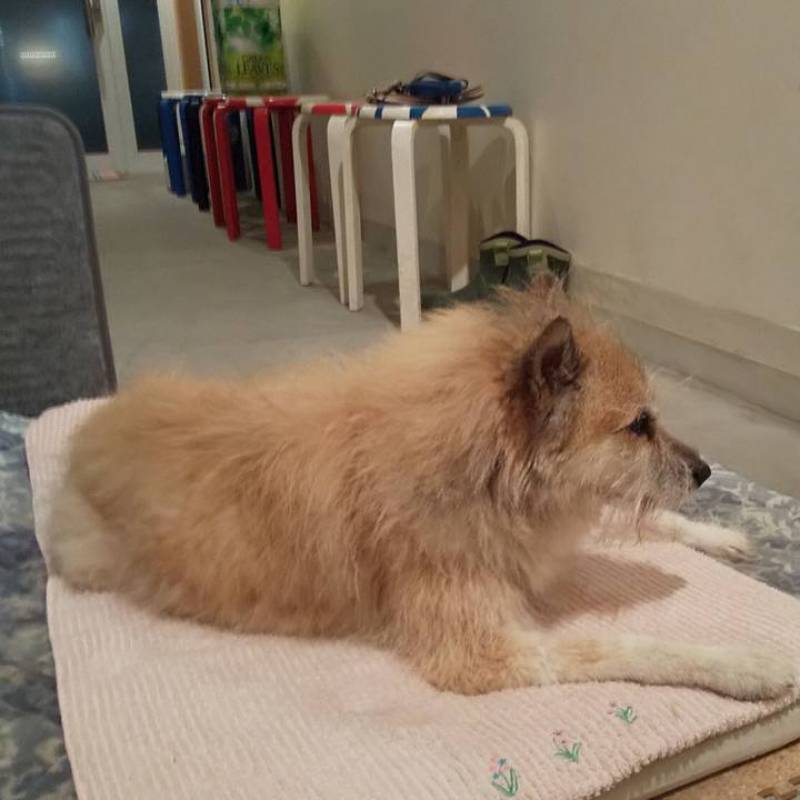 Dbd51fe3 b75e 4390 bfb7 73b1bc38b5ff 1576404975663