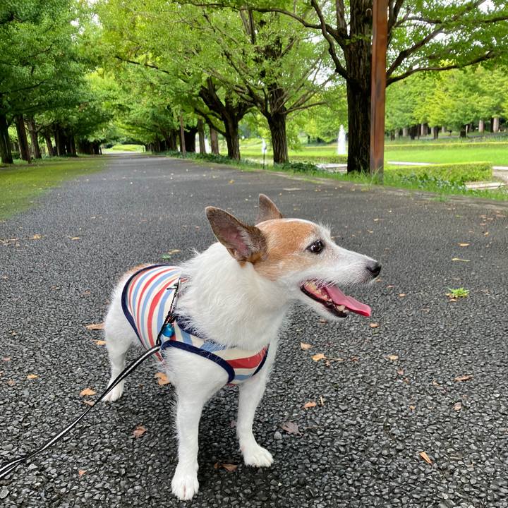 Dbd51ffb 79b8 4236 af53 3a1d7df406e5 1725067320572