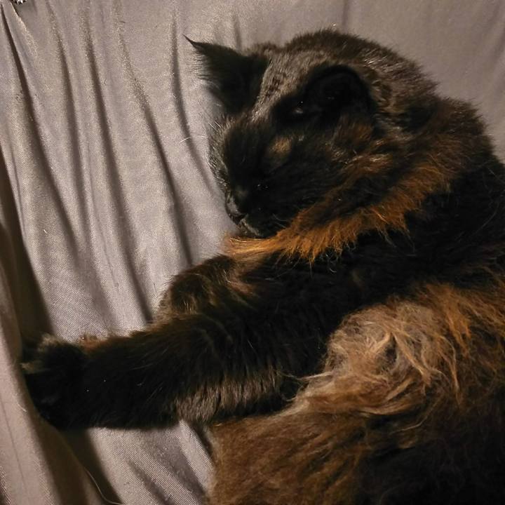 Dbd558c5 54d1 474b 82c1 ba337f764009 1578050371357