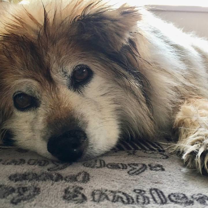 Dbd573a7 37f1 4e26 9031 c1e552212c3b 1634339165475