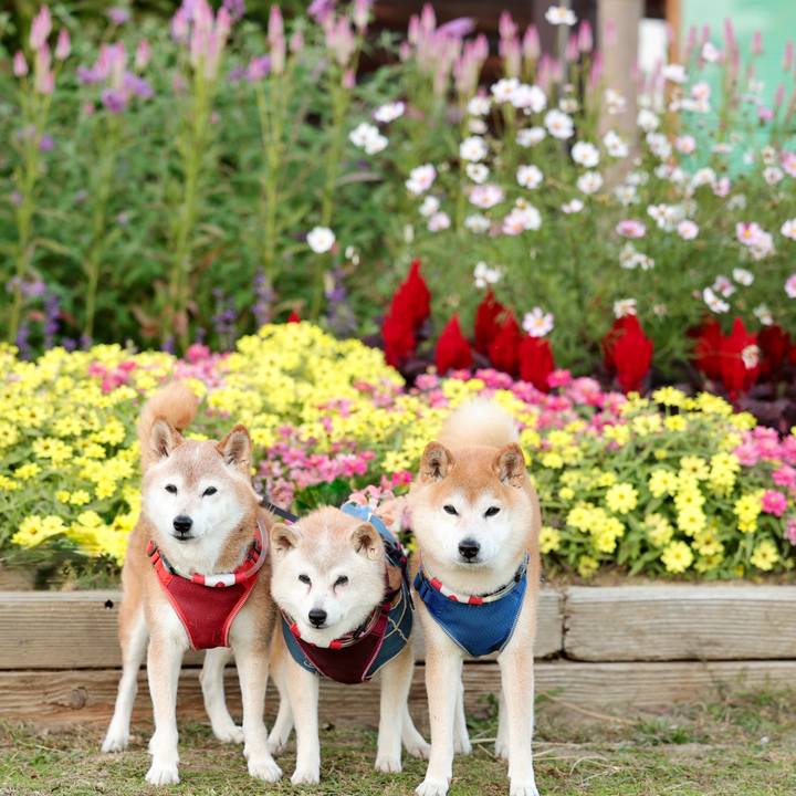 Dbd5935d 9b5b 4d0f 848a 66c0a59ccbfd 1763309302189