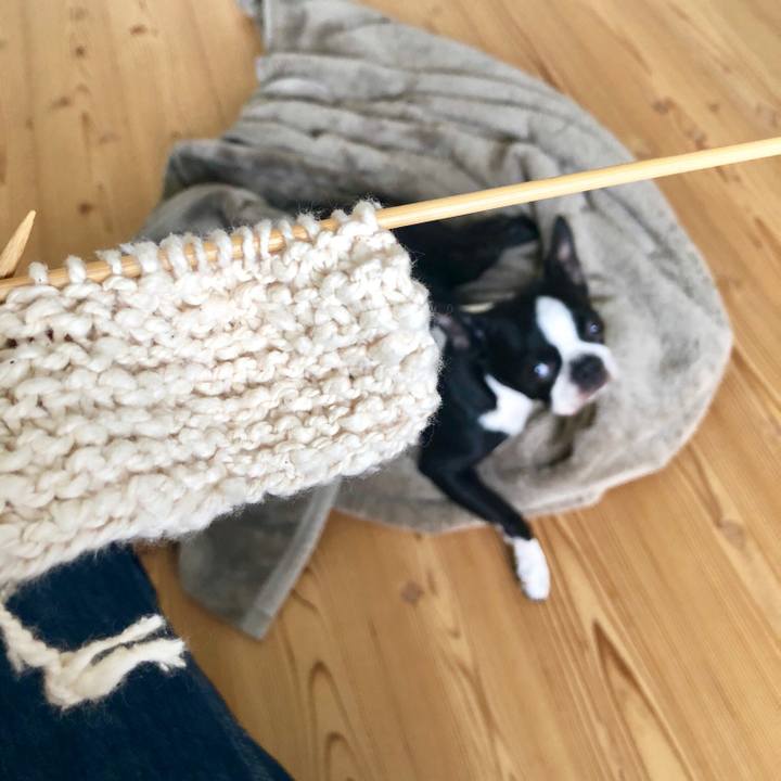 Dbd5b047 15af 4dcd b3f7 e43e0b6e87d2 1528956357422